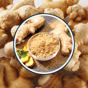 Flat Belly Melts Ingredients Ginger